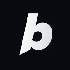 Bolt.new Pro