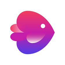 Invideo Studio