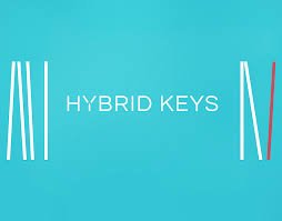 Native Instruments Hybrid