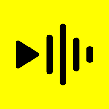 ReelsApp Premium