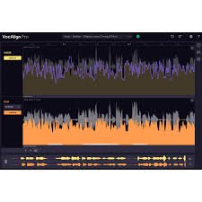 Synchro Arts VocAlign 6