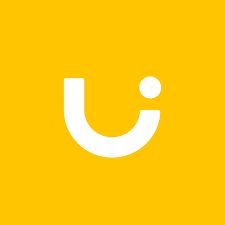 Uizard AI Pro